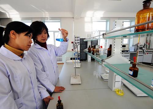 中儲(chǔ)糧在黑龍江開(kāi)秤收購(gòu)