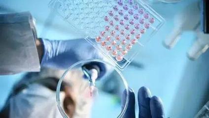 武漢病毒研究所:3種藥物對新型冠狀病毒有較好抑制作用