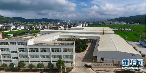 云南永勝 堅(jiān)持黨建引領(lǐng) 產(chǎn)業(yè)培育積蓄新動(dòng)能