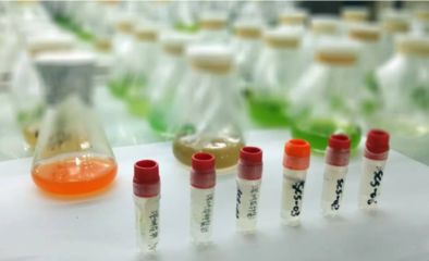 創(chuàng)新向未來(lái),水密碼以科技之力點(diǎn)亮人文之美